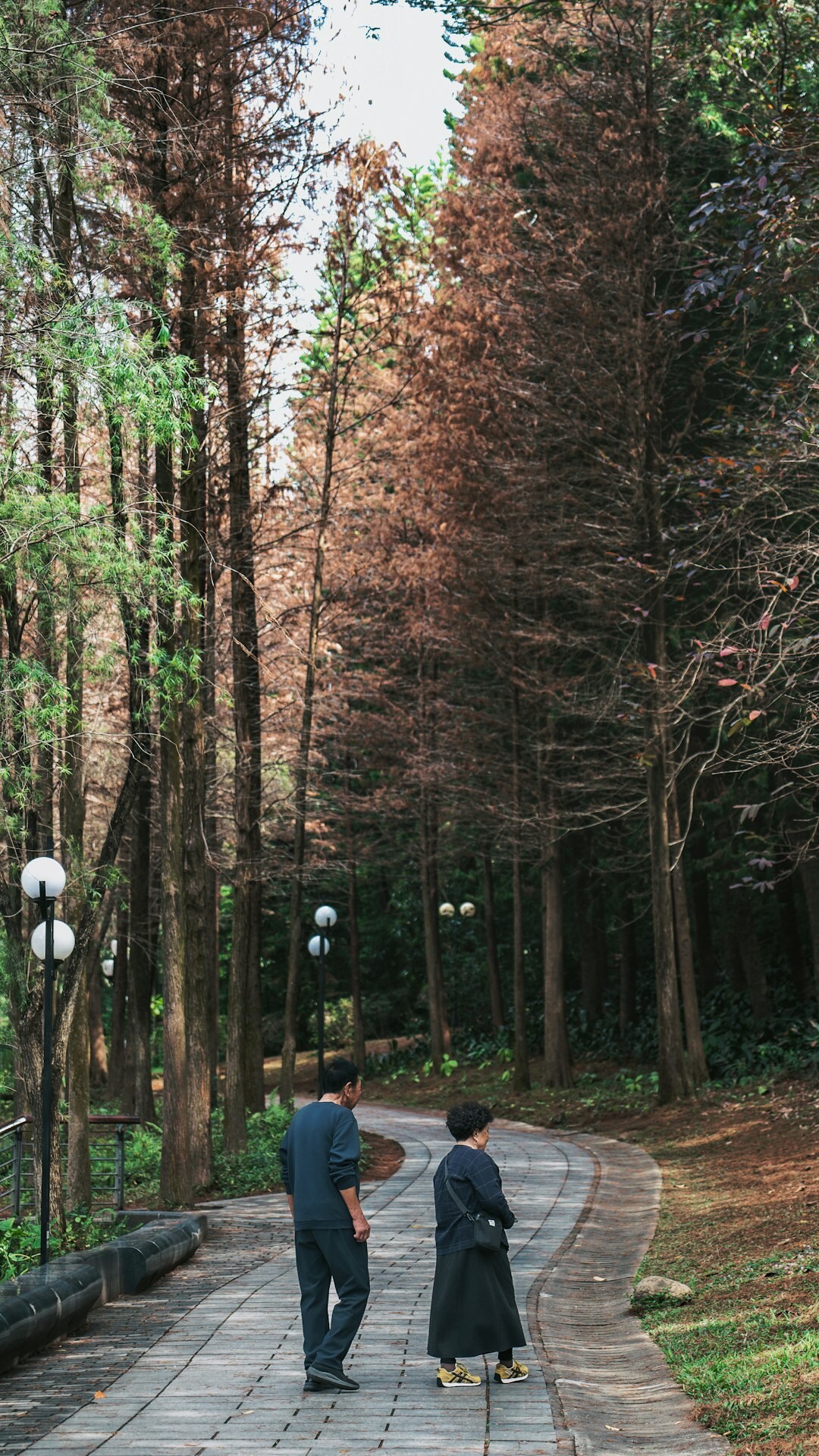 elderly couple walking in park